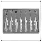 ست الواتور دناپویا DENA POUYA